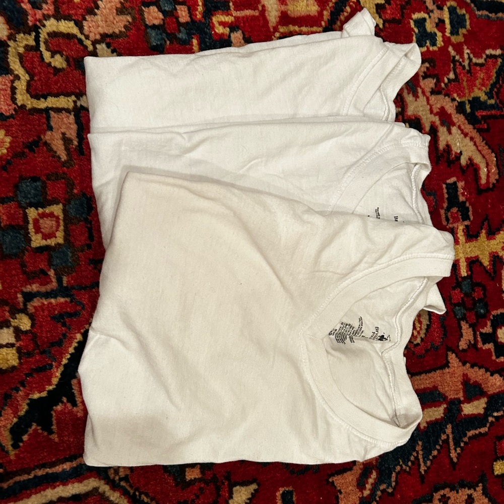 Beverly Hills Polo Club White V-Neck 3 T-Shirts